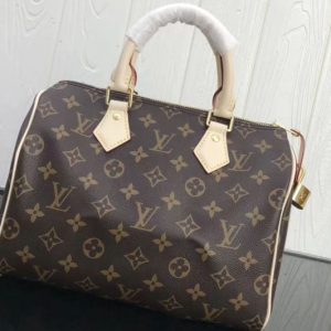 Replica Louis Vuitton M41109 LV Speedy 25 Monogram Canvas