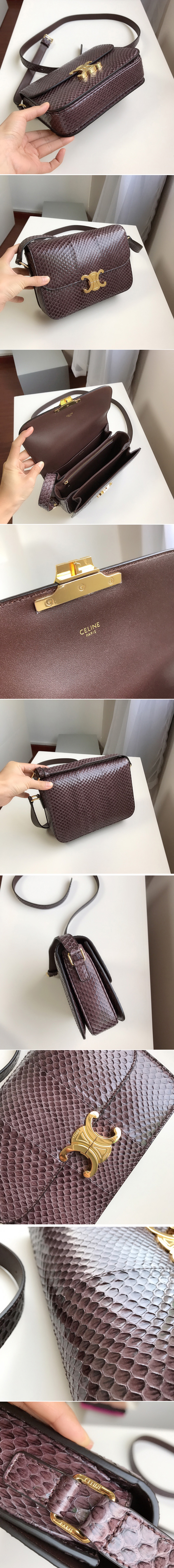 Replica Celine 187363 medium triomphe bag in brown watersnake Leather