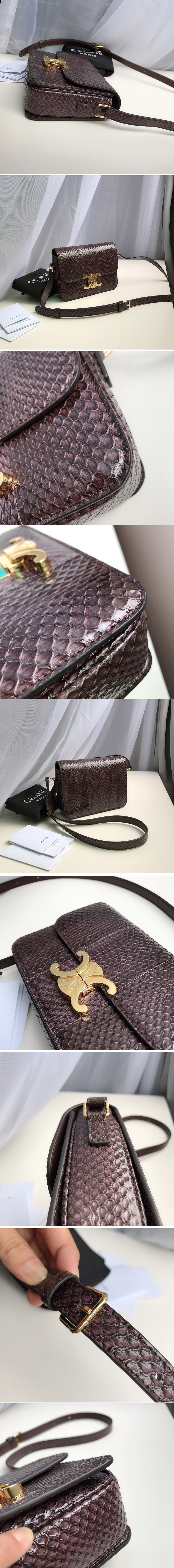 Replica Celine 188424 Teen triomphe bag in brown watersnake Leather