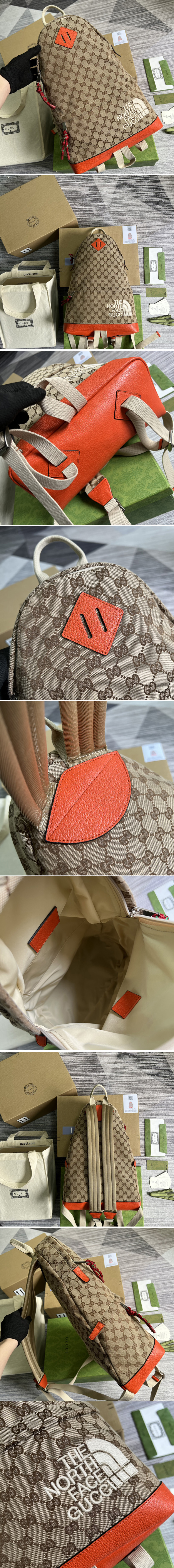 Replica Gucci 650288 The North Face x Gucci backpack in Beige and ebony Original GG canvas