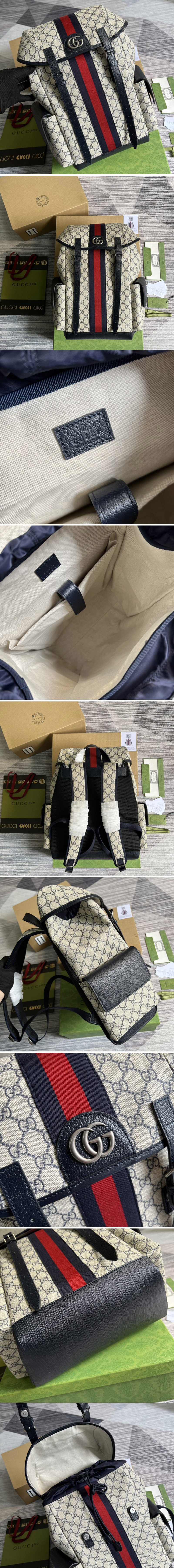 Replica Gucci ‎598140 Ophidia GG medium backpack in Beige and blue GG Supreme canvas